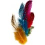 Plumes de pintade - couleurs mlanges - 3 g