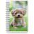 Calendrier 24/25 Compact - Animaux