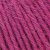 Raggi moyen 100g - Cerise