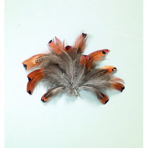 Plumes de faisan 10 cm - naturelles 2 g