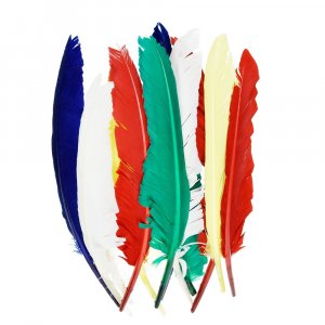 Plumes indiennes 20 - 30 cm - plusieurs couleurs mlanges paquet de 10