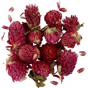 Fleurs sches - Trfle rouge - 15 g