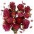 Fleurs sches - Trfle rouge - 15 g