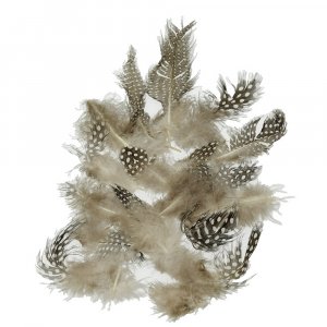 Plumes de pintade 40 - 80 mm - naturelles 3 g ~ 36 pcs.