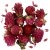 Fleurs sches - Trfle rouge - 15 g