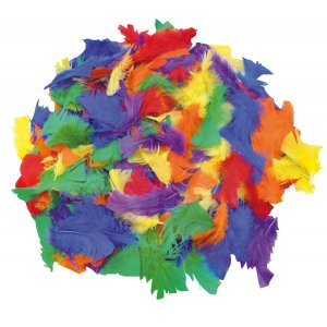 Plumes 100 g couleurs mlanges