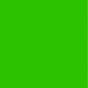 Feuille de couleur Color-Dekor 180 C 100 x 200 mm - vert 2 pcs