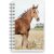 Calendrier 24/25 Compact - Animaux