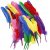 Plumes - couleurs mlanges - 36 pcs