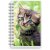 Calendrier 24/25 Compact - Animaux