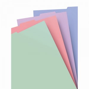 Index amovibles pour carnet Filofax - A4