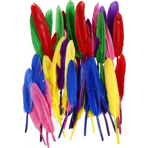 Plumes - couleurs mlanges - 48 pcs