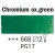 Peinture aquarelle Rembrandt 1/2 tasse - Vert-2-oxyde vert chrome