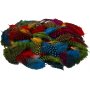 Plumes de pintade - couleurs mlanges - 3 g