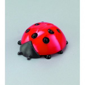 Miniatures 12 mm - paquet de 6.  Coccinelle