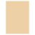 Carton 50x70 cm 300g 10 feuilles - Beige