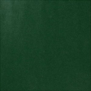 Papier cadeau - vert - 5 m