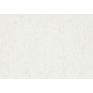 Papier aquarelle - blanc - A5 - 300 g - 100 feuilles