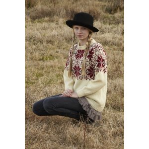 Patron tricot - Pull d'automne  motifs (dame)