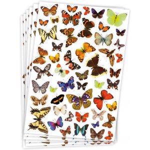 Autocollants papillons - 300 pcs