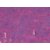 Pastel  l'huile Sennelier 5 ml - Violet Rouge (048)