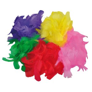 Plumes couleurs mlanges - 200 pcs