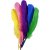 Plumes - couleurs mlanges - 36 pcs