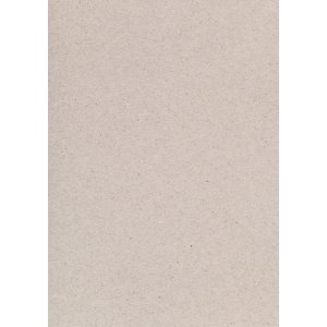 Carton naturel A4 220 g