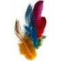 Plumes de pintade - couleurs mlanges - 3 g