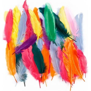 Plumes - couleurs mlanges - 350 pcs