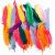 Plumes - couleurs mlanges - 350 pcs