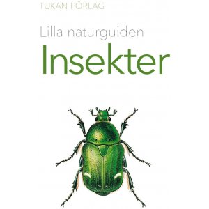 Petit guide nature : Les insectes