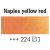 Rembrandt Peinture aquarelle 1/2 tasse - Jaune/Orange-1-Naples Jaune Rouge