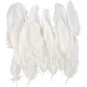 Plumes d'oie - blanches - 350 pcs