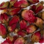 Fleurs sches - Boutons de roses - 15 g