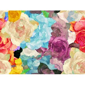 Jersey  motifs 145 cm - Roses aquarelles